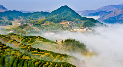 蕲春县生态环境分局开展环境保护专项检查