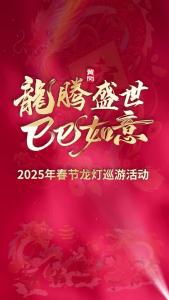 #网络中国节·春节 龙腾盛世 巳巳如意！#黄冈 2025年春节龙灯巡游活动圆满举行 #黄州 #舞龙