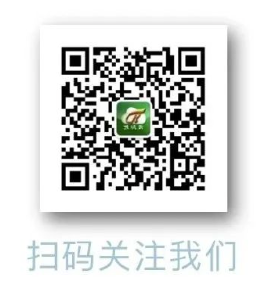 听见 | 初冬的温暖味道
