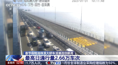 春节假期港珠澳大桥车流量连创新高