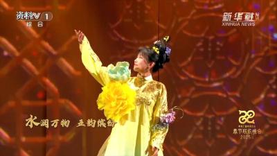 揭秘春晚李子柒身着蝴蝶华服的非遗染色技艺
