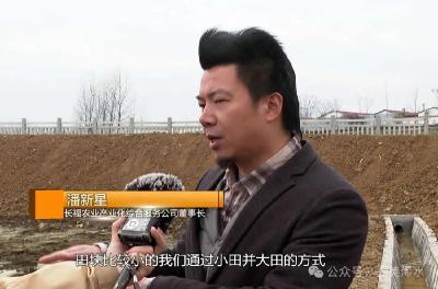 进度超九成！2.9万亩高标准农田加速建设
