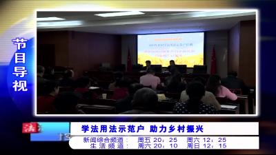 法治时空20241108.mp4