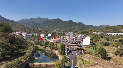 荒山蝶变“金土地”  秃岭崛起“幸福园”