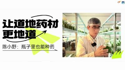 瓶子里也能种药材？