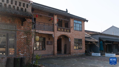 湖北广水：乡村开公司 村民共兴业