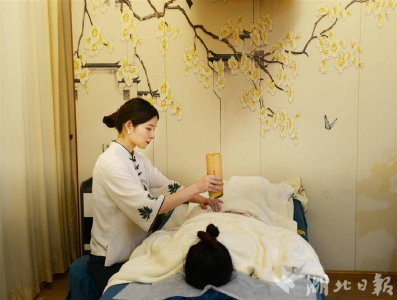 黄冈中医药产业发展的供应链答卷 