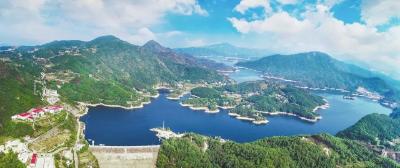 从“一尾鱼”到“一条链”——“鄂東”白莲河青背胖头鱼的产业跃迁密码