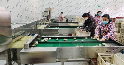 麻城市鹤鸣农产品开发有限公司：小鸡蛋变成“大金蛋”
