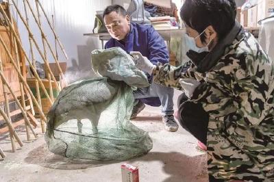 “护鸟医生”钟吸秀十年如一日甘当“生态文明使者”