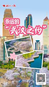 永远的“武汉之约”