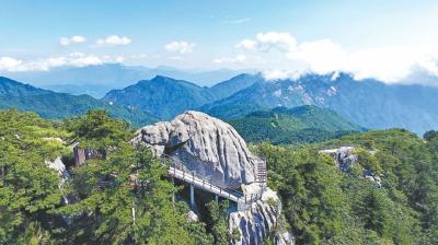 多元赏花游引客 英山春日“花经济”绽放