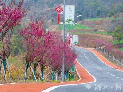 GPS已醉！“开花”的农村路，速约！
