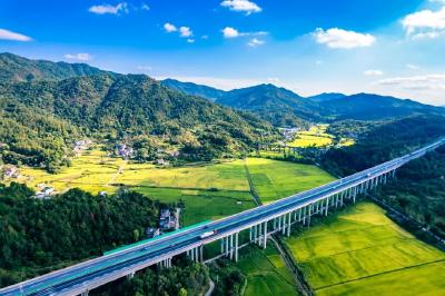 黄冈罗田：荒山蝶变“金土地” 秃岭崛起“幸福园”