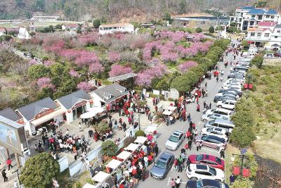 燕儿谷景区迎来春节后首个游客高峰