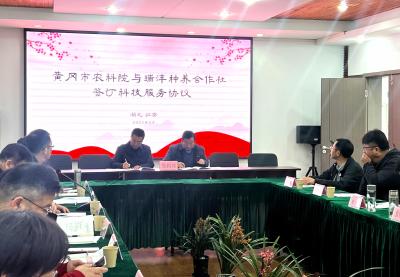 春耕一线:   黄冈市农科院送“智”又送“礼”，助力红薯产业升级