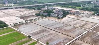 警务跟着农时走 安全围着田畴转——浠水县公安局护航春耕生产观察