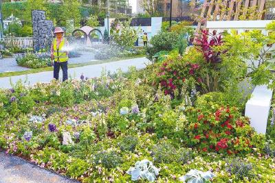 千花绽放世界花园大会600种月季编织沙湖浪漫 