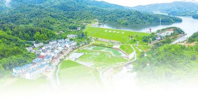 一库清水映新景——麻城市推进芭茅河水库综合治理实现生态蝶变
