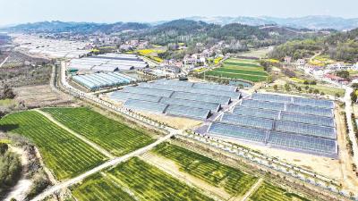 科技赋能绘“丰”景——团风县马曹庙镇全力推进智慧春耕