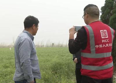 全力保民生！人保财险黄冈分公司：极端天气下为群众撑起“防护伞”