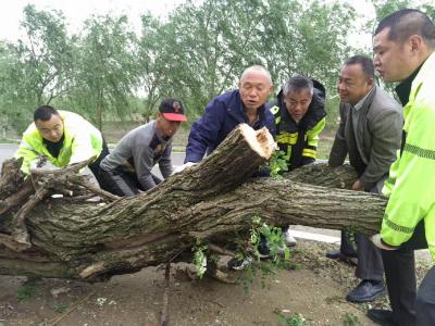 风雨中的“护路先锋”