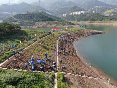 中国建成长江流域特有珍稀植物保育基地 