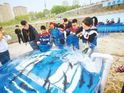 超22万尾中华鲟放流长江