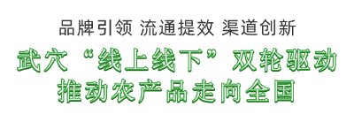 流量变销量！武穴农产品搭上
