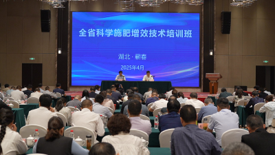 在湖北这场培训会上 黄冈作经验交流
