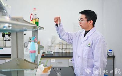 万万没想到，“一碗菜”成了年入30亿的“国际网红”