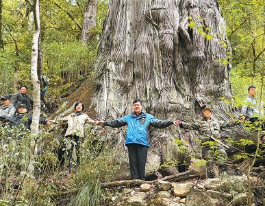 中国科研团队历经十年调查发布研究成果——中国有多少棵树？