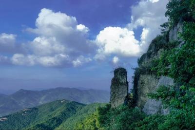 大崎山“八珍八景”全攻略 舌尖与视觉的双重盛宴！
