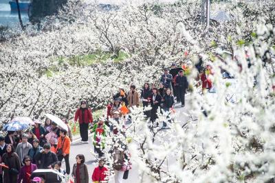 阳光明媚却“情绪流感”高发 春天“惹的祸”？