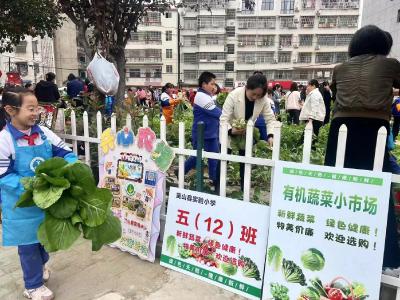 英山县实验小学构建“1+1+5”社团体系，厚植素质教育土壤——社团百花齐放，学生尽展所长