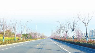 从“见缝插绿”到“处处皆绿” 黄州区精心构建居民绿色生活圈