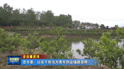 青春耀黄冈｜ 团市委：以实干担当为青年创业铺路架桥