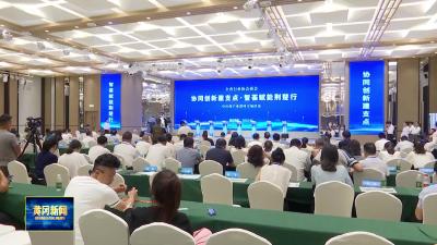 全省行业协会商会“协同创新建支点智荟赋能荆楚行”中医药产业黄冈专场活动举行
