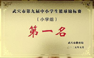 逆袭之旅！武穴六小勇夺第九届中小学生篮球锦标赛冠军