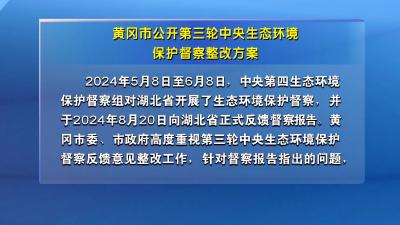 黄冈市公开第三轮中央生态环境保护督察整改方案