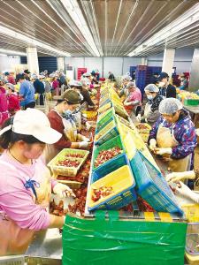 得益全省共打“一张牌”  “我们的小龙虾也成了抢手货”