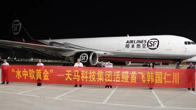 花湖机场首单鲜活水产品试航成功