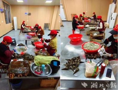 蕲春：小粽子包出大产业
