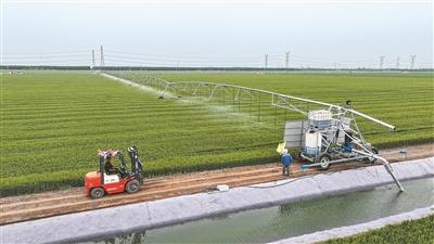 更多高标准农田来了
