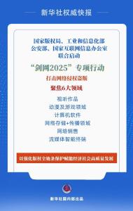 剑指网络侵权盗版！四部门启动“剑网2025”专项行动
