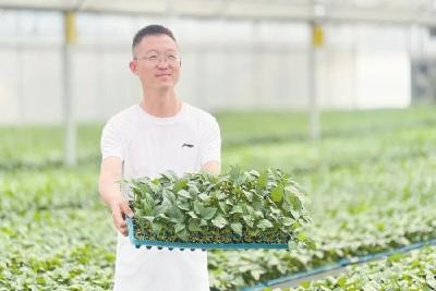 从70%到92%，这个黄梅小伙让种苗“逆天改命”！