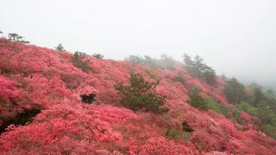 5月4日 早！黄冈 | 三省联盟，牵手黄冈◆新标准9月1日实施