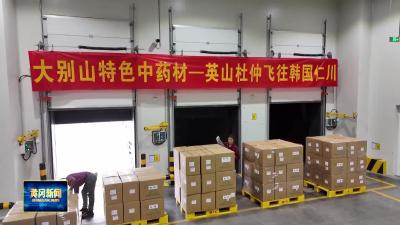 1.37吨英山杜仲飞韩国仁川 大别山山货出山再添新成果
