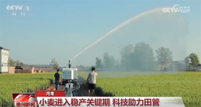 全国春播按下“加速键” 科技赋能为夏粮丰收图景增添“智慧”底色