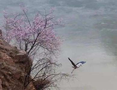 @黄石友人，五一来黄州赴一场诗与乐的盛宴！